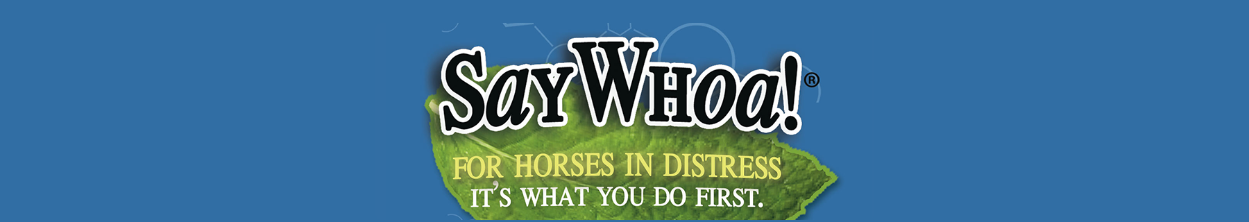Say Whoa! to horse coilc
