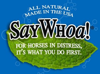 SayWhoa! to horse colic