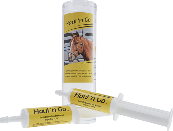 Haul 'n Go for Horses