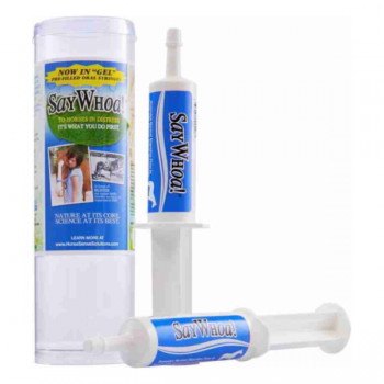 Say Who to Horse Colic