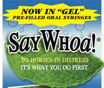 SayWhoa! to Horse Colic