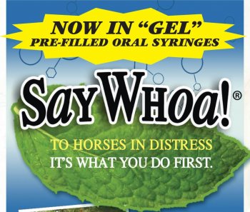SayWhoa! to Horse Colic
