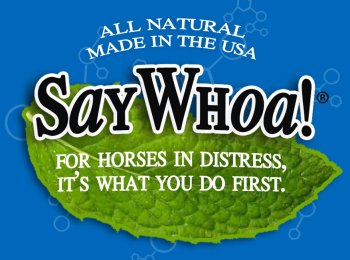 SayWhoa! to Horse Colic