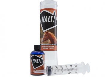 Halt! for Horses
