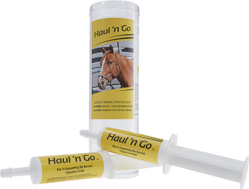 Haul 'n Go for Horses